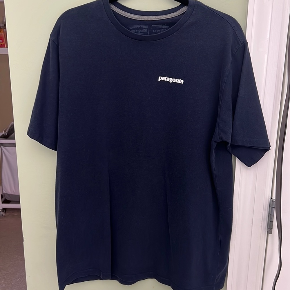 Patagonia Shirt